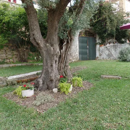 Ponto De Vista - Feriehus *